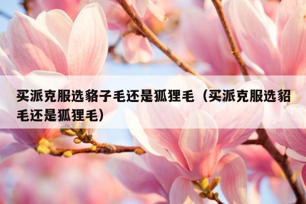 买派克服选貉子毛还是狐狸毛（买派克服选貂毛还是狐狸毛）