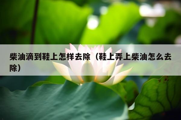 柴油滴到鞋上怎样去除（鞋上弄上柴油怎么去除）