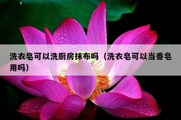 洗衣皂可以洗厨房抹布吗（洗衣皂可以当香皂用吗）