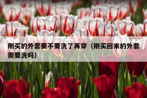 刚买的外套要不要洗了再穿（刚买回来的外套需要洗吗）