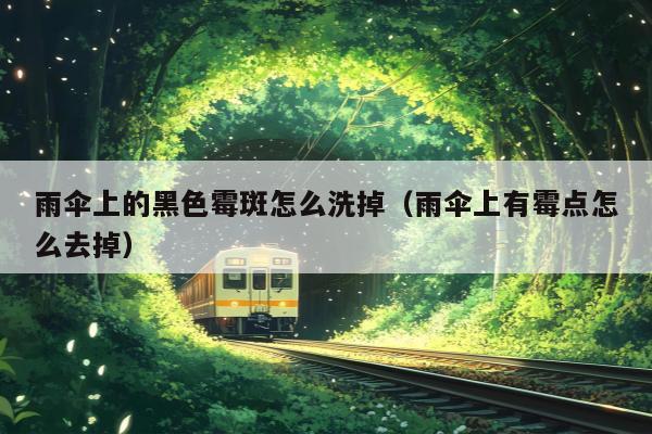雨伞上的黑色霉斑怎么洗掉（雨伞上有霉点怎么去掉）
