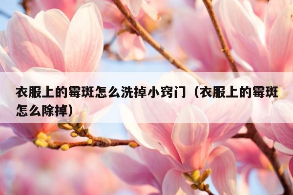 衣服上的霉斑怎么洗掉小窍门（衣服上的霉斑怎么除掉）