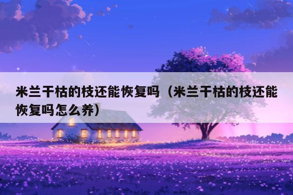米兰干枯的枝还能恢复吗（米兰干枯的枝还能恢复吗怎么养）