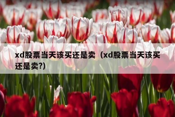 xd股票当天该买还是卖（xd股票当天该买还是卖?）