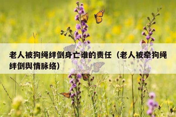 老人被狗绳绊倒身亡谁的责任（老人被牵狗绳绊倒舆情脉络）