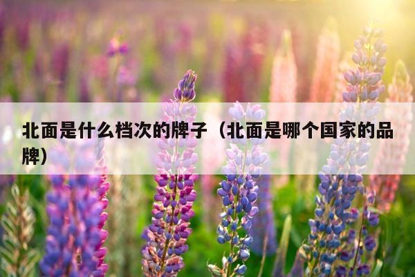 北面是什么档次的牌子（北面是哪个国家的品牌）
