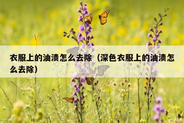 衣服上的油渍怎么去除（深色衣服上的油渍怎么去除）