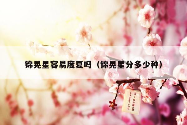 锦晃星容易度夏吗（锦晃星分多少种）