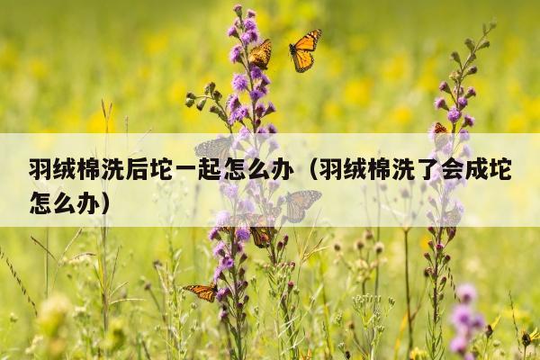 羽绒棉洗后坨一起怎么办（羽绒棉洗了会成坨怎么办）