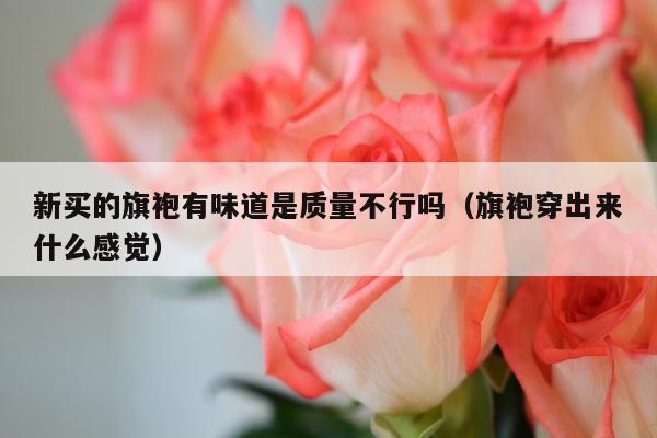 新买的旗袍有味道是质量不行吗（旗袍穿出来什么感觉）