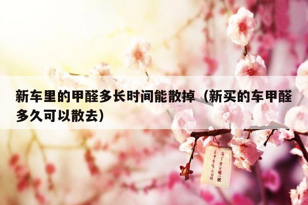 新车里的甲醛多长时间能散掉（新买的车甲醛多久可以散去）