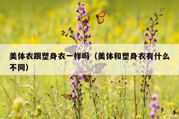 美体衣跟塑身衣一样吗（美体和塑身衣有什么不同）