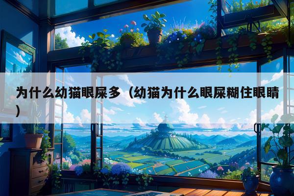 为什么幼猫眼屎多（幼猫为什么眼屎糊住眼睛）