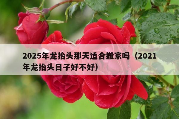 2025年龙抬头那天适合搬家吗（2021年龙抬头日子好不好）