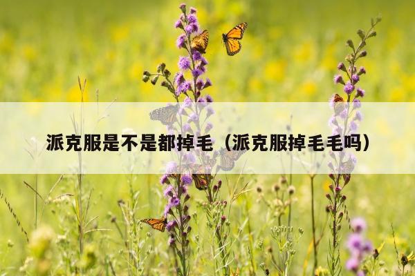 派克服是不是都掉毛（派克服掉毛毛吗）