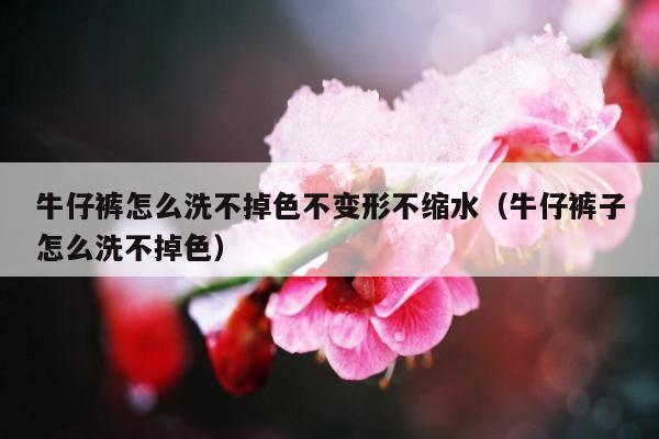 牛仔裤怎么洗不掉色不变形不缩水（牛仔裤子怎么洗不掉色）