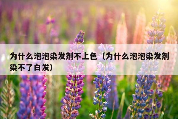 为什么泡泡染发剂不上色（为什么泡泡染发剂染不了白发）