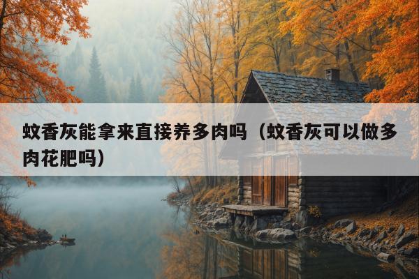 蚊香灰能拿来直接养多肉吗（蚊香灰可以做多肉花肥吗）
