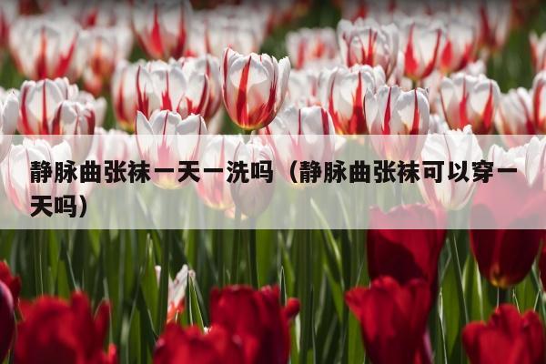 静脉曲张袜一天一洗吗（静脉曲张袜可以穿一天吗）