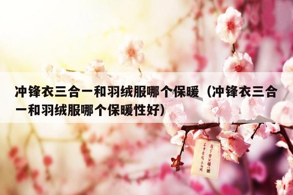 冲锋衣三合一和羽绒服哪个保暖（冲锋衣三合一和羽绒服哪个保暖性好）