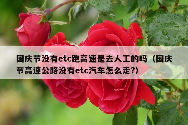 国庆节没有etc跑高速是去人工的吗（国庆节高速公路没有etc汽车怎么走?）