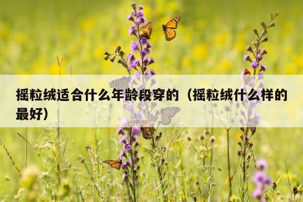 摇粒绒适合什么年龄段穿的（摇粒绒什么样的最好）