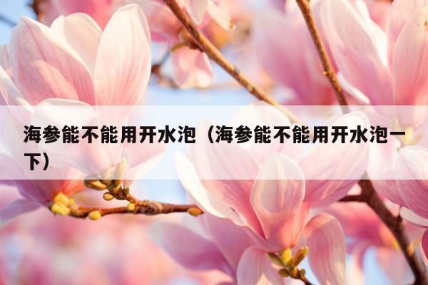海参能不能用开水泡（海参能不能用开水泡一下）