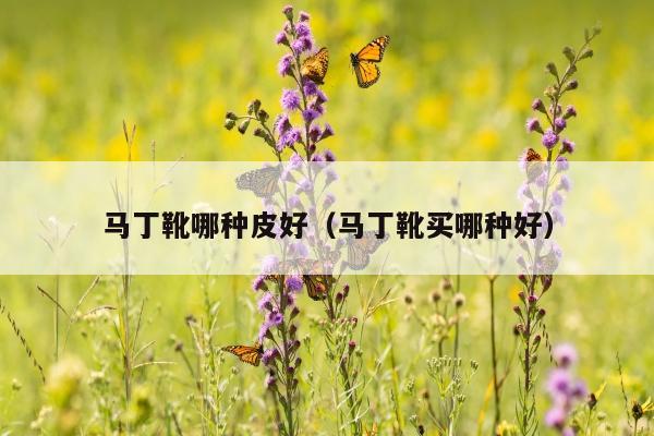 马丁靴哪种皮好（马丁靴买哪种好）