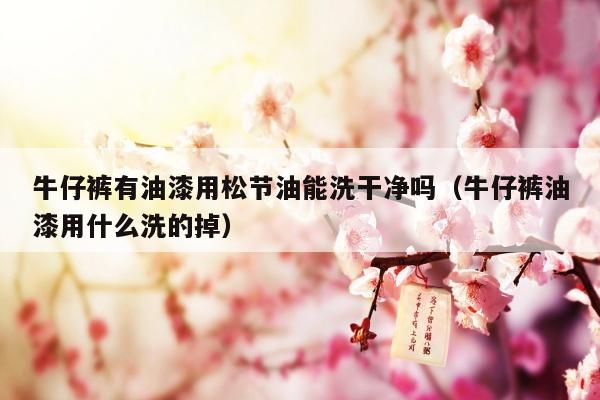牛仔裤有油漆用松节油能洗干净吗（牛仔裤油漆用什么洗的掉）
