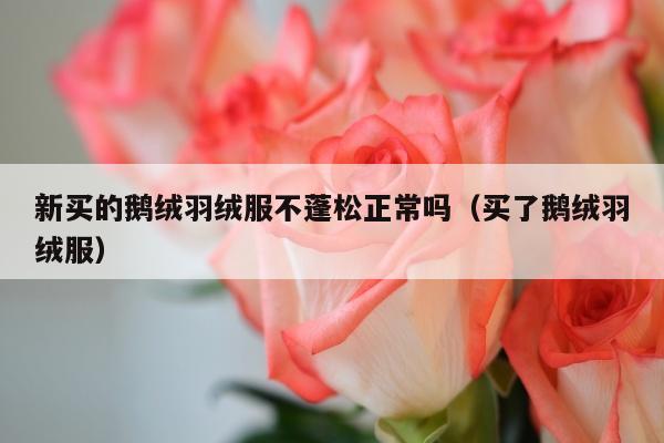 新买的鹅绒羽绒服不蓬松正常吗（买了鹅绒羽绒服）