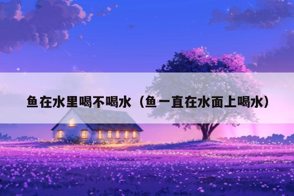 鱼在水里喝不喝水（鱼一直在水面上喝水）