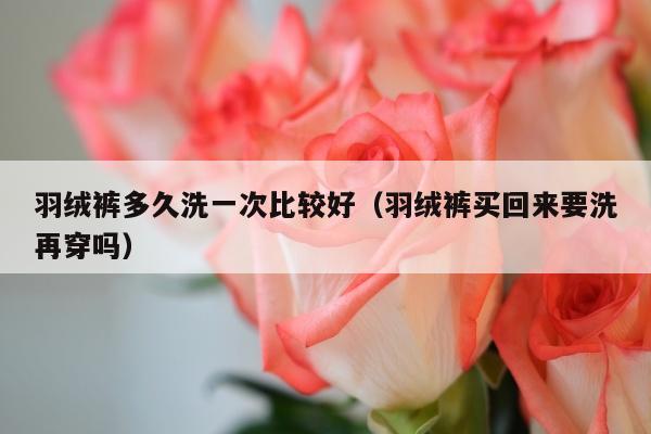 羽绒裤多久洗一次比较好（羽绒裤买回来要洗再穿吗）