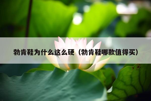 勃肯鞋为什么这么硬（勃肯鞋哪款值得买）