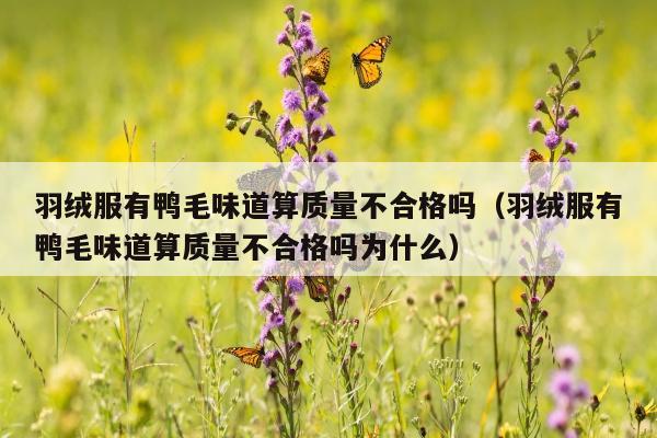 羽绒服有鸭毛味道算质量不合格吗（羽绒服有鸭毛味道算质量不合格吗为什么）