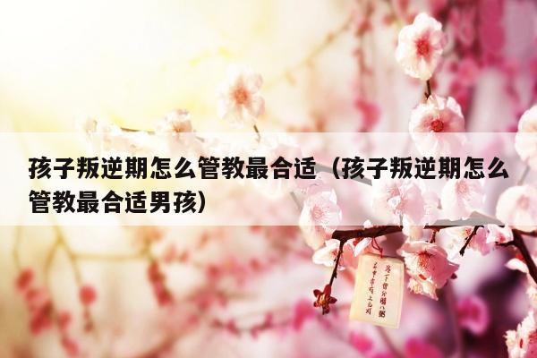 孩子叛逆期怎么管教最合适（孩子叛逆期怎么管教最合适男孩）