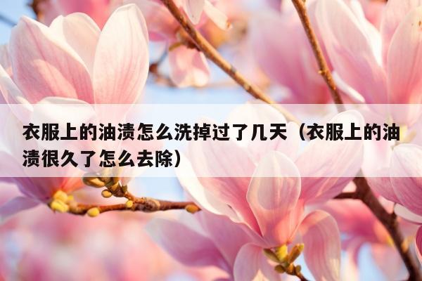 衣服上的油渍怎么洗掉过了几天（衣服上的油渍很久了怎么去除）