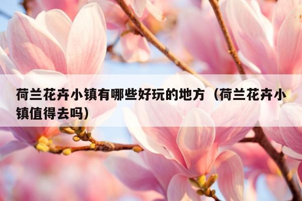荷兰花卉小镇有哪些好玩的地方（荷兰花卉小镇值得去吗）