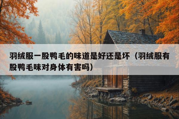 羽绒服一股鸭毛的味道是好还是坏（羽绒服有股鸭毛味对身体有害吗）