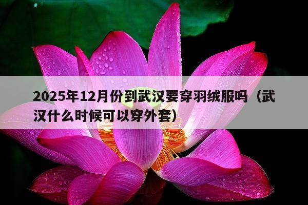 2025年12月份到武汉要穿羽绒服吗（武汉什么时候可以穿外套）