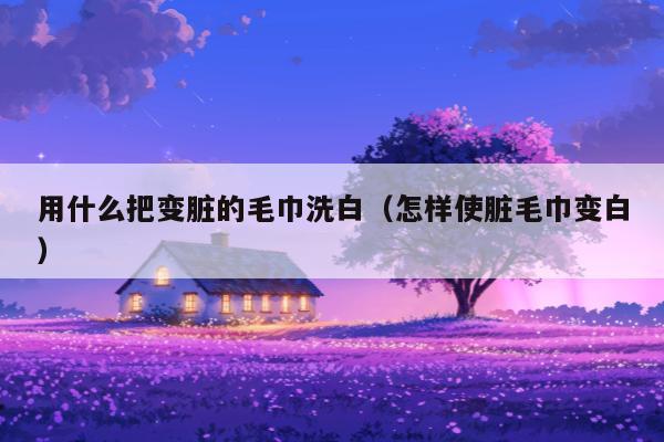 用什么把变脏的毛巾洗白（怎样使脏毛巾变白）