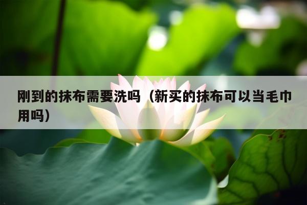 刚到的抹布需要洗吗（新买的抹布可以当毛巾用吗）