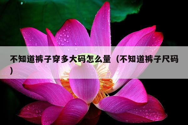 不知道裤子穿多大码怎么量（不知道裤子尺码）