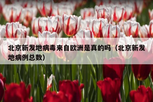 北京新发地病毒来自欧洲是真的吗（北京新发地病例总数）