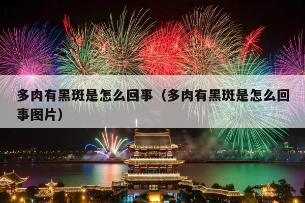 多肉有黑斑是怎么回事（多肉有黑斑是怎么回事图片）