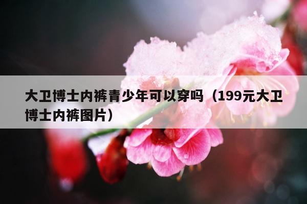 大卫博士内裤青少年可以穿吗（199元大卫博士内裤图片）