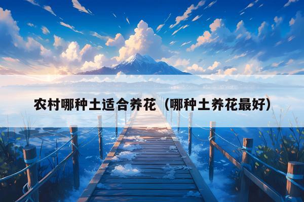 农村哪种土适合养花（哪种土养花最好）
