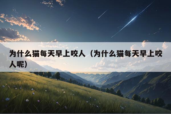 为什么猫每天早上咬人（为什么猫每天早上咬人呢）