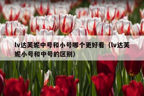 lv达芙妮中号和小号哪个更好看（lv达芙妮小号和中号的区别）