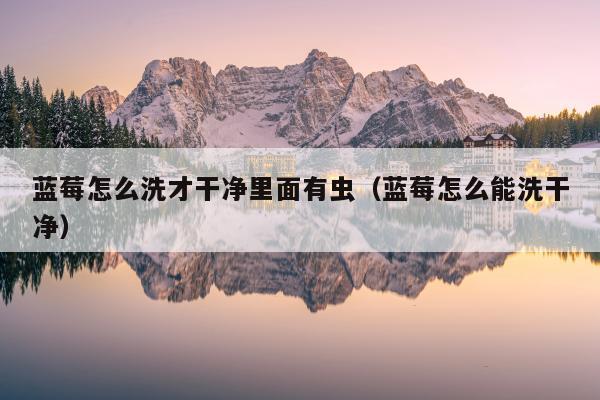 蓝莓怎么洗才干净里面有虫（蓝莓怎么能洗干净）