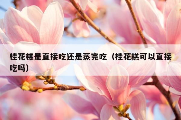 桂花糕是直接吃还是蒸完吃（桂花糕可以直接吃吗）
